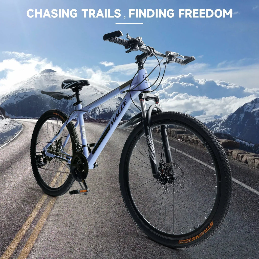 ARTUDATECH 26 Inch 27-Speed Dual Suspension Mountain Bike - Silver, Blue, Gray And Red