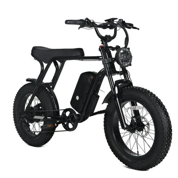 Electric Mountain Bike For Adults, 20 x 4.0 Fat Tires, 1000W Motor, 48V 20Ah Battery, Black - G-M1Sp