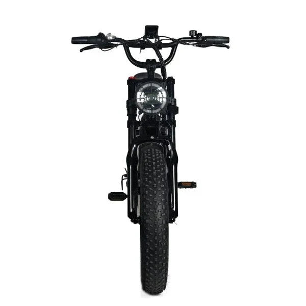 Electric Mountain Bike For Adults, 20 x 4.0 Fat Tires, 1000W Motor, 48V 20Ah Battery, Black - G-M1Sp