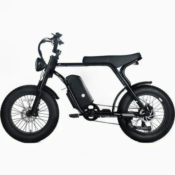 Electric Mountain Bike For Adults, 20 x 4.0 Fat Tires, 1000W Motor, 48V 20Ah Battery, Black - G-M1Sp
