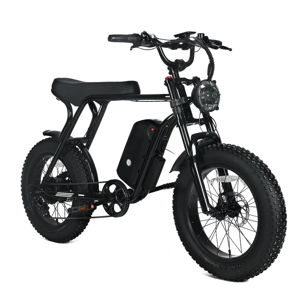 Electric Mountain Bike For Adults, 20 x 4.0 Fat Tires, 1000W Motor, 48V 20Ah Battery, Black - G-M1Sp