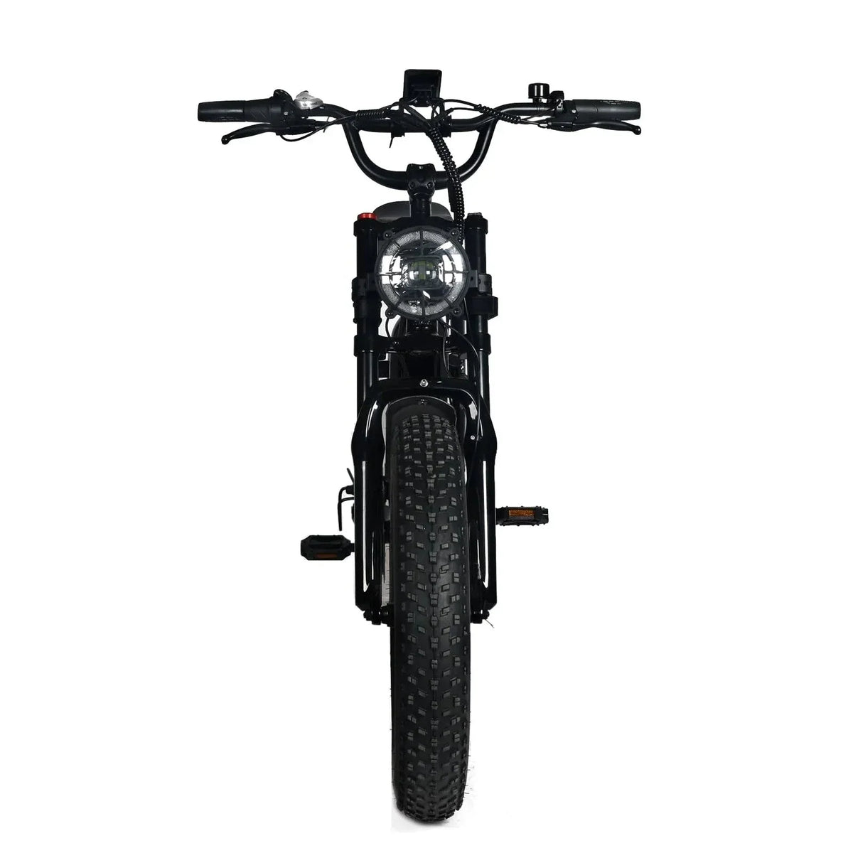 Electric Mountain Bike For Adults, 20 x 4.0 Fat Tires, 1000W Motor, 48V 20Ah Battery, Black - G-M1Sp