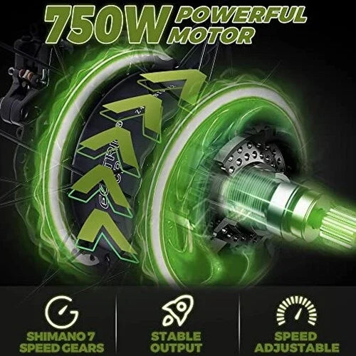 ECOTRIC Adult Electric Bike 26 x 4.0 in Fat Tires, 750W, 48V 13AH - Hammer